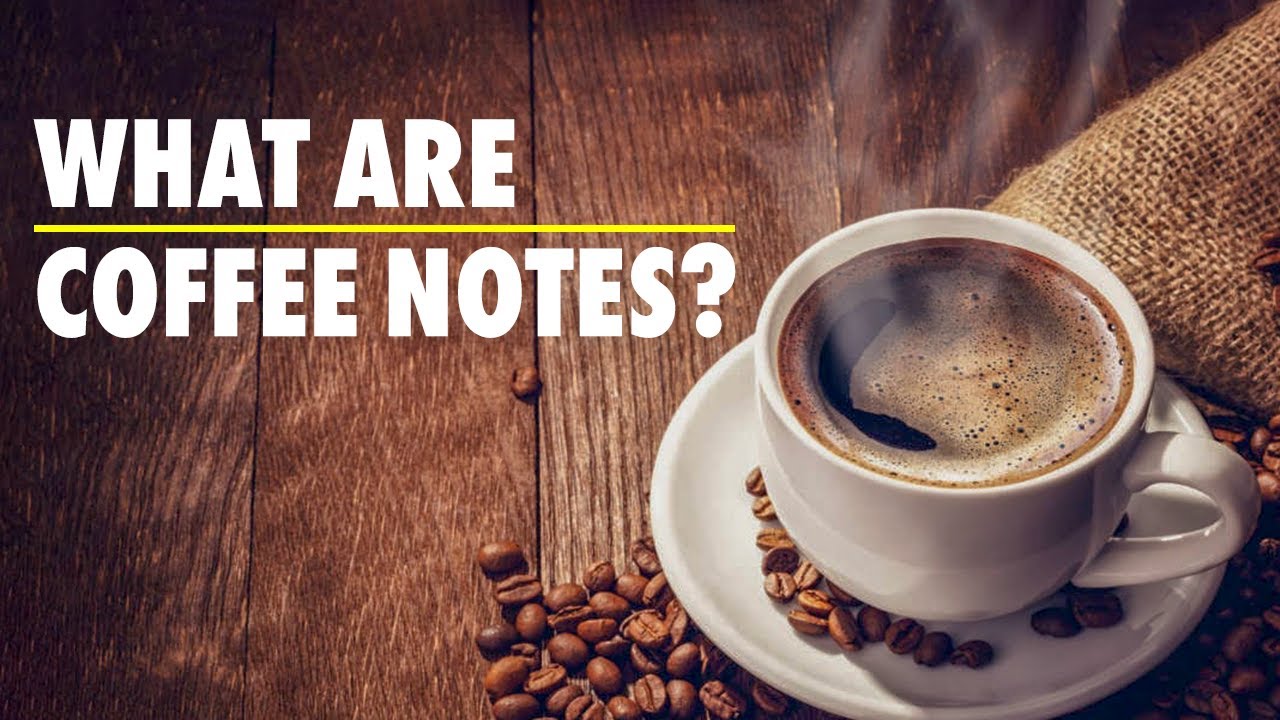 What Are Coffee Tasting Notes? (And How to Identify Them)