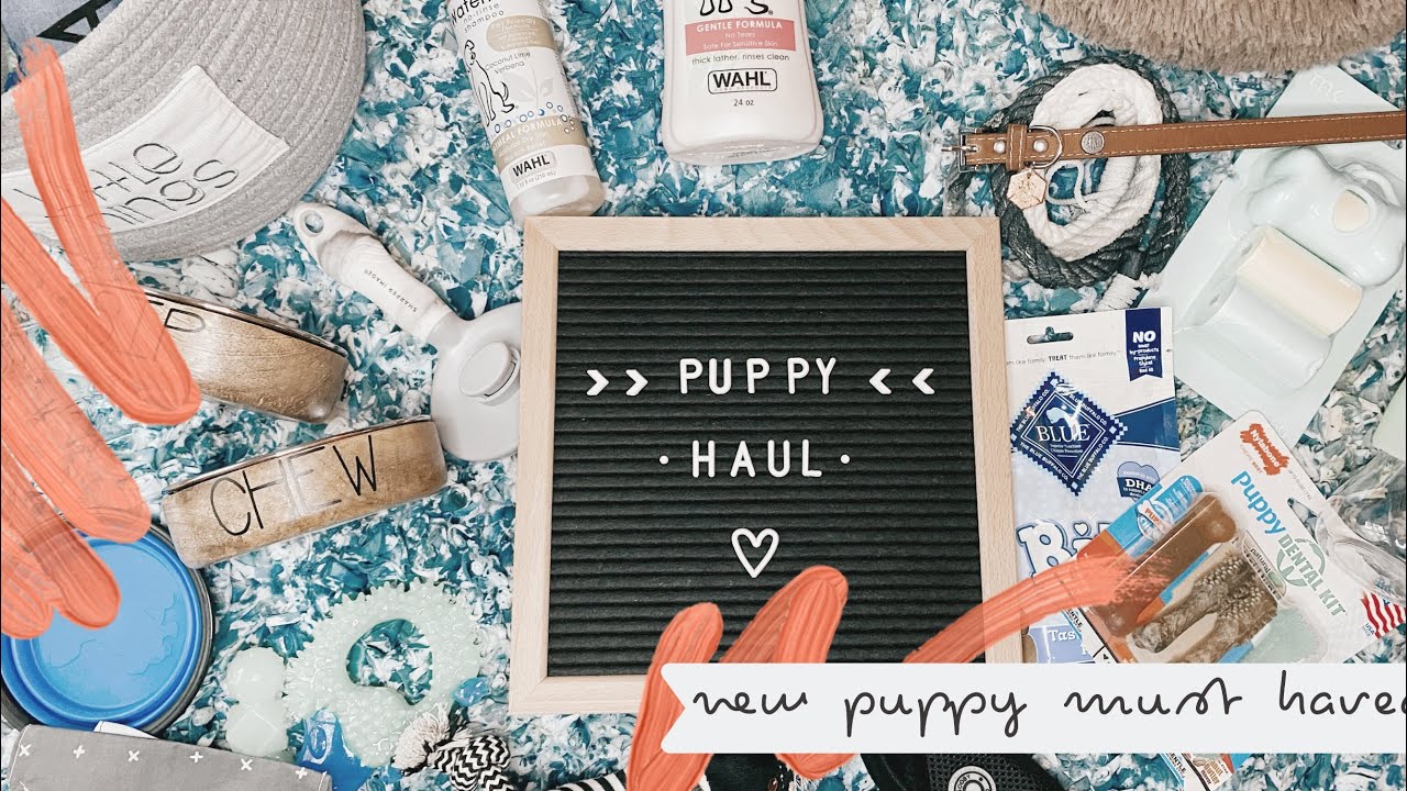 PUPPY HAUL!! and AMAZON HACK : inexpensive must haves for your new puppy!! 🐾