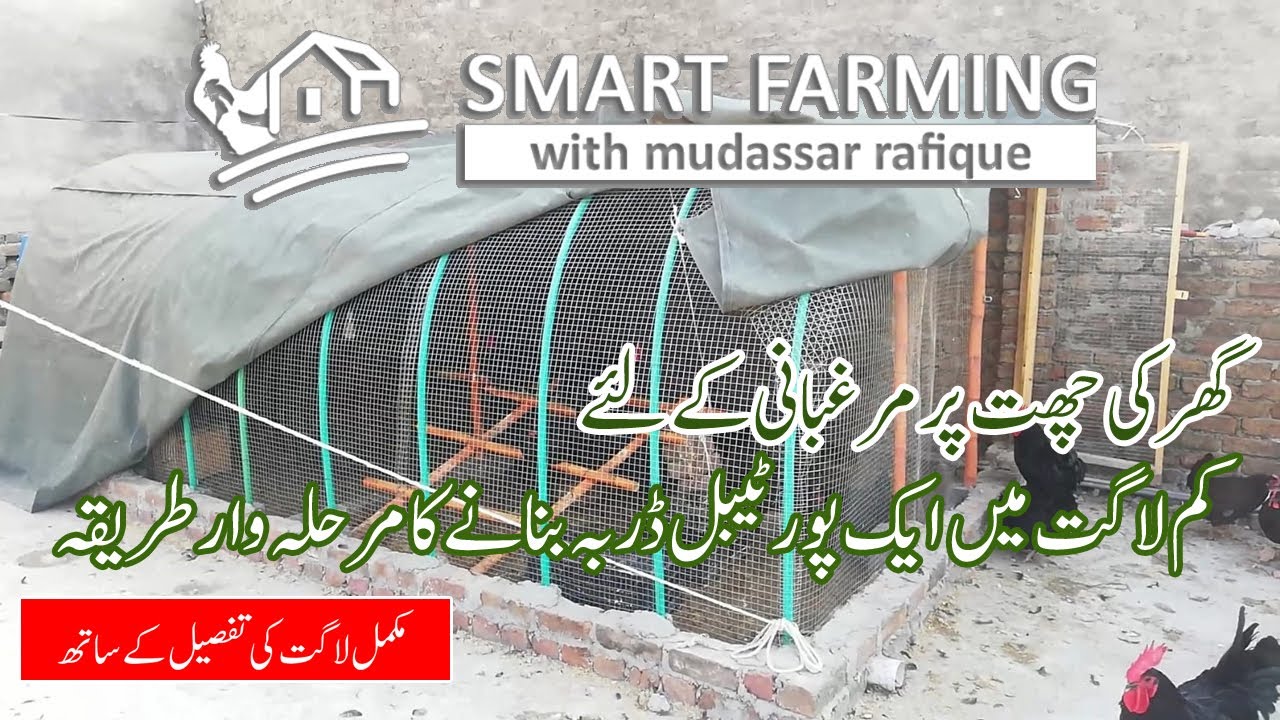 Low cost Chicken shed making with  PVC Pipes | Livestock | Farming