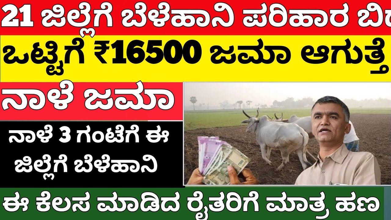 ನಾಳೆ ಈ 21 ಜಿಲ್ಲೆಗೆ ಬೆಳೆಹಾನಿ ₹16500 ಜಮಾ/ live proof /bele hani parihara payment karnataka