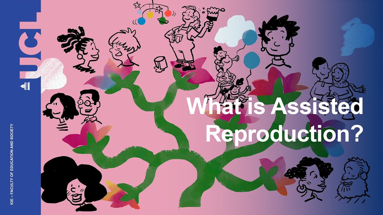 Assisted Reproduction: a short educational film | UCL IOE