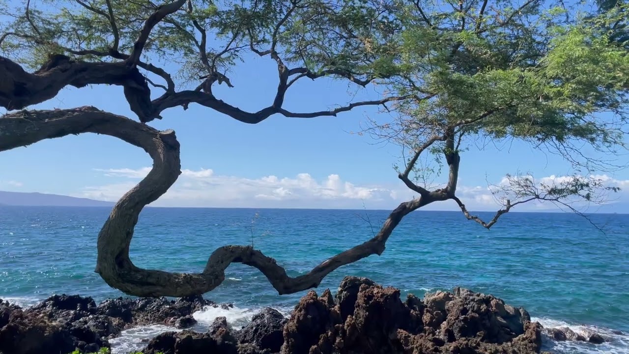 Maui 2026