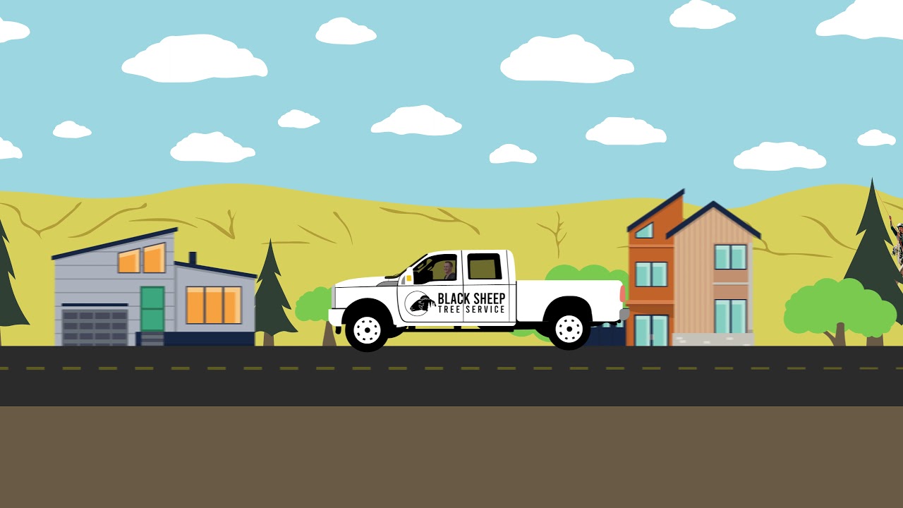 Tree Service in Yakima, Washington Company