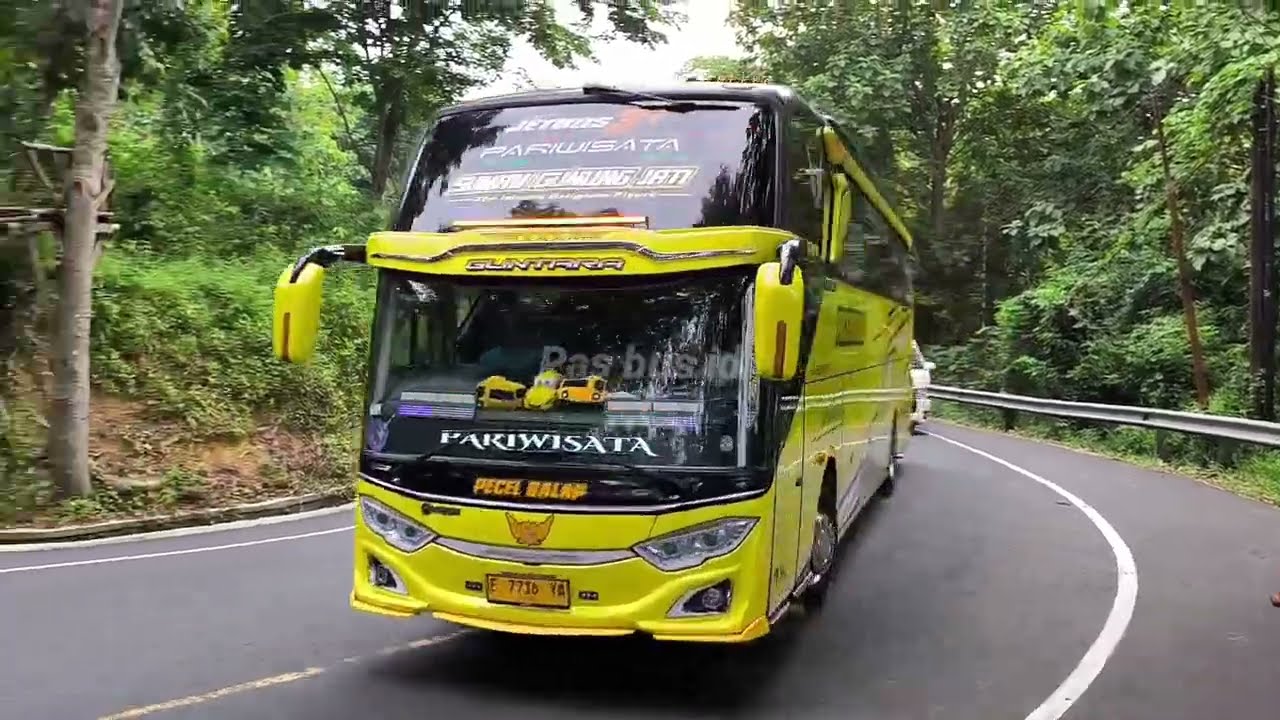 Mobil bus telolet pecel balap ,harapan putra jaya dan lain lain