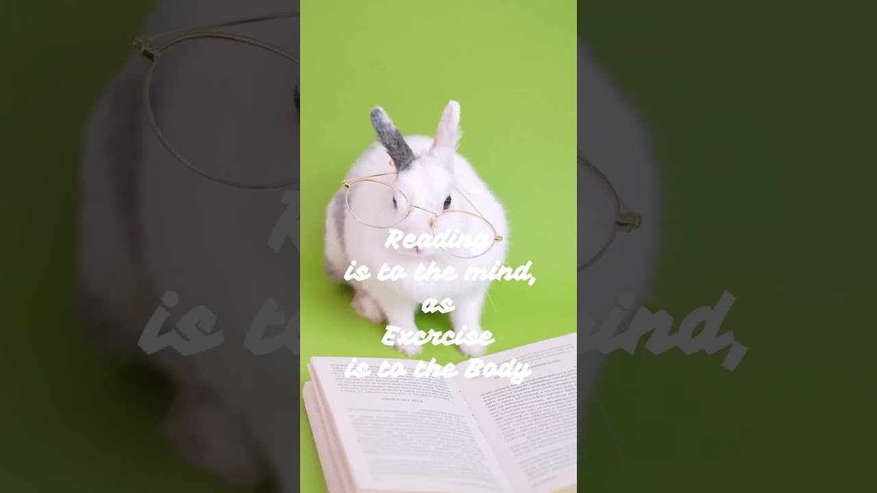 Reading is a Good Habit: How Reading Can Benefit Your Mind, Body, and Soul