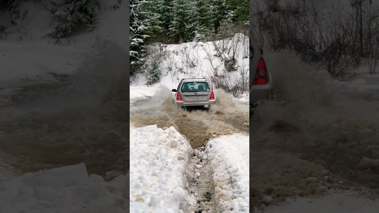 SG Foresters are the GOAT! #Subaru #offroad #Forester #jdm #liftedimports #snow #cars