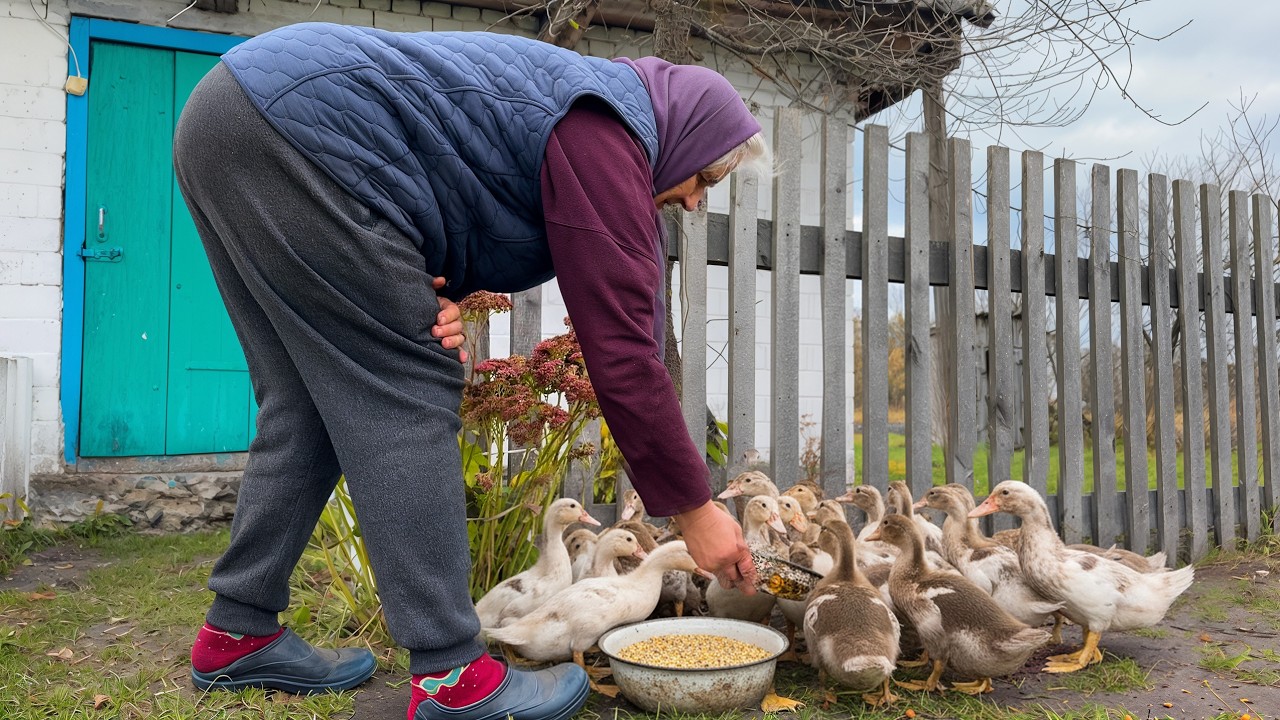 A Hard but Peaceful Life: One Day With a Ukrainian Village Grandma