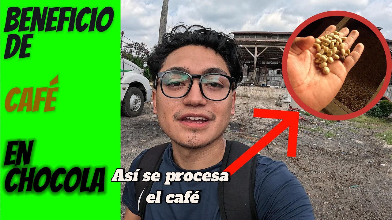 Beneficio de Cafe en Chocolá - Suchitepeques Guatemala