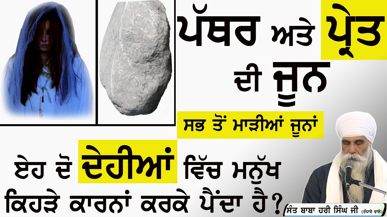 ਪ੍ਰੇਤ ਅਤੇ ਪੱਥਰ ਦੀ ਜੂਨ ਵਿੱਚ ਮਨੁੱਖ ਕਦੋਂ ਪੈਂਦਾ ਹੈ ? Sant Baba Hari Singh Ji Randhawe Wale #kathavichar