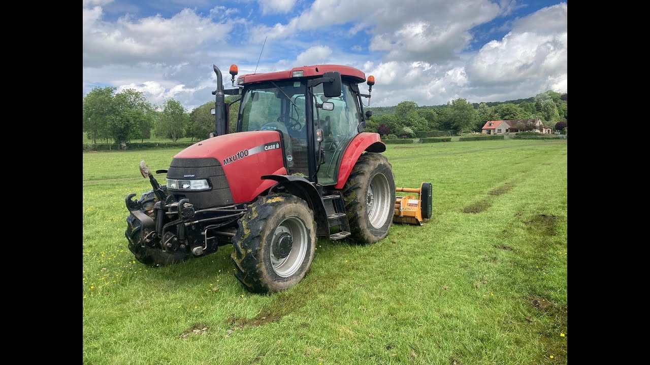 20/05/22.  Moving cattle and bashing Buttercups.