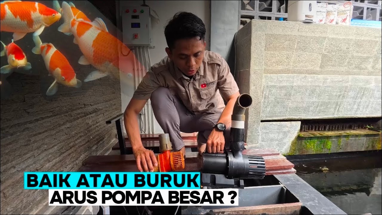 Pengaruh Pompa Arus Kencang Terhadap Kolam Koi | Pompa Hemat Listrik