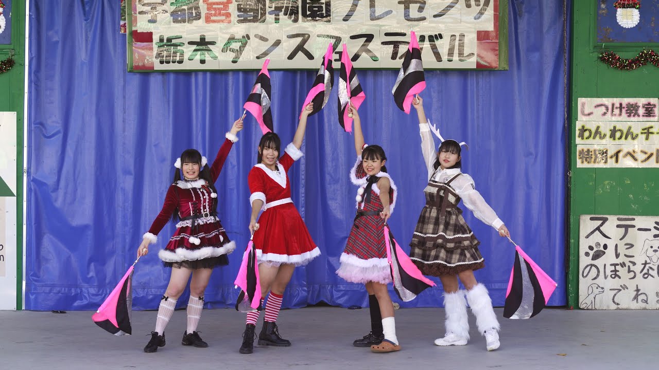 無所属☆⡱ZERO   2025.12.7  とちぎダンスフェスティバル   宇都宮動物園