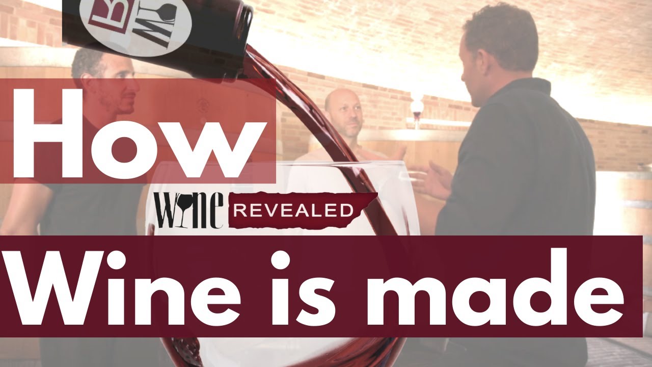 Making Wine In Tuscany Episode 2