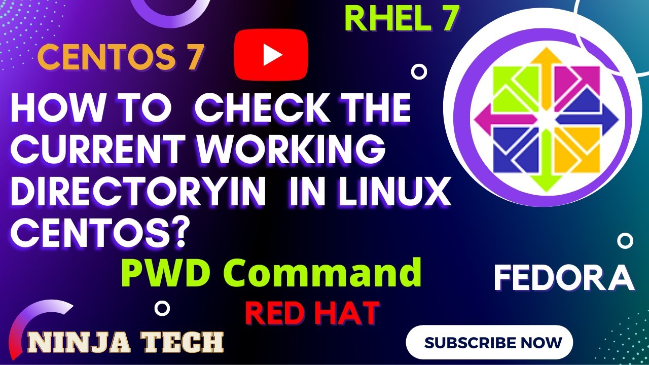 How to check the current working directory in Linux Centos 7