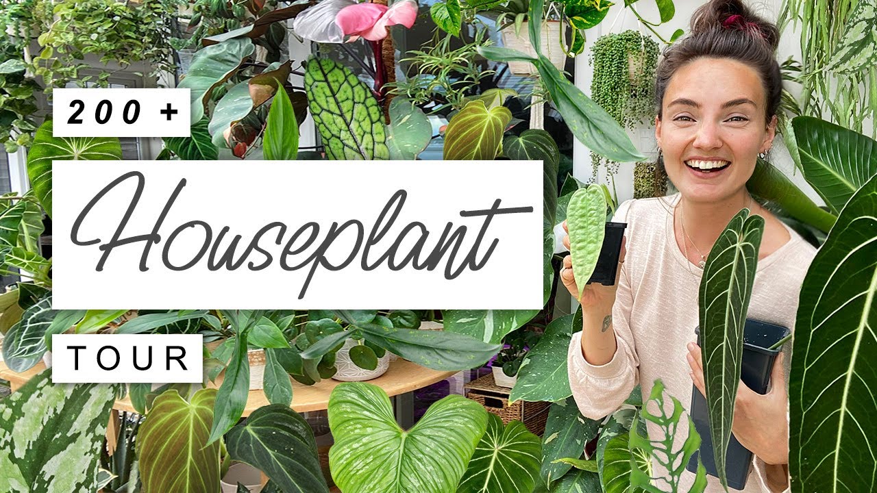 200+ Houseplant TOUR 🌿 The Final Plant Room Tour