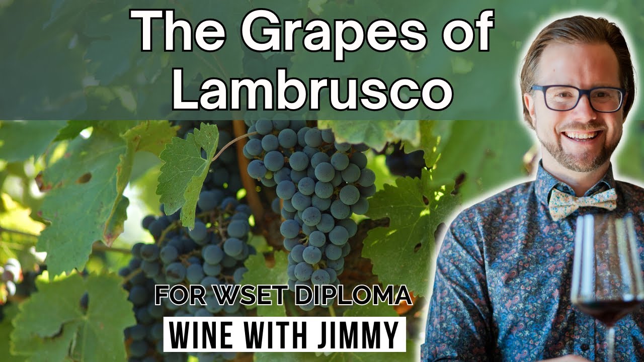 Основные сорта Ламбруско для WSET 4-го уровня (диплом)