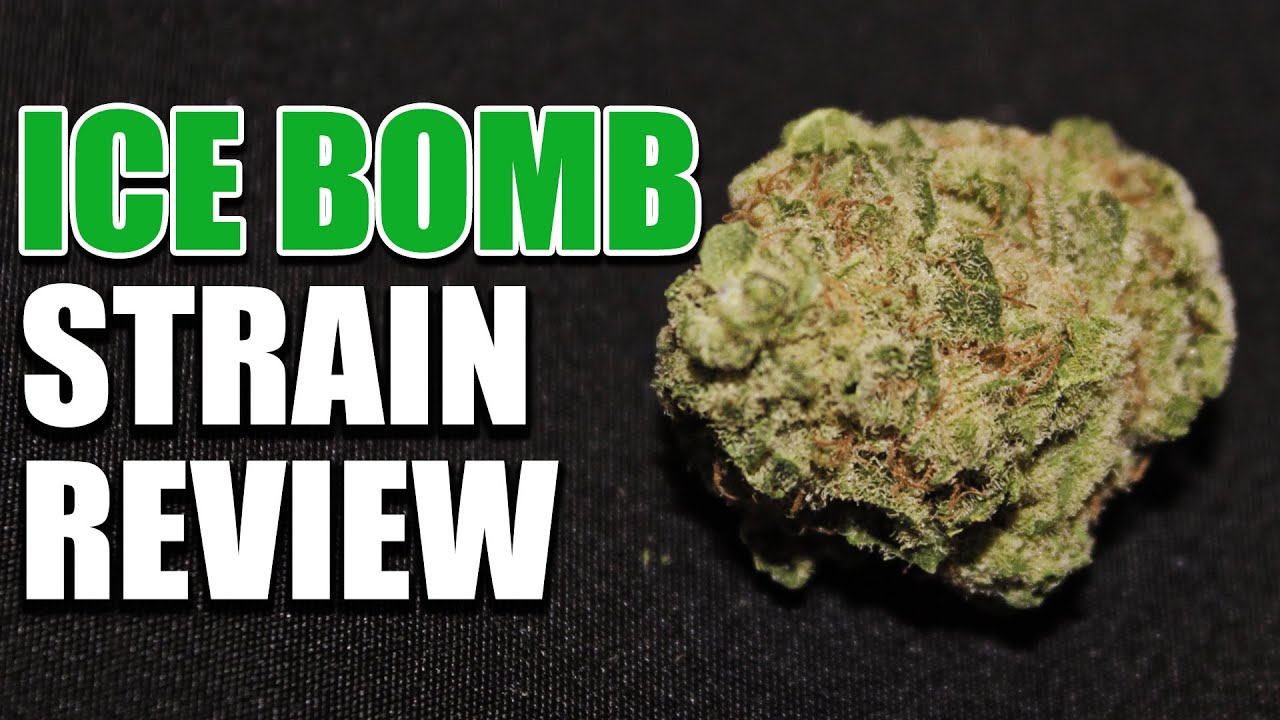 Ice Bomb Strain Review - Cannabis Lifestyle TV