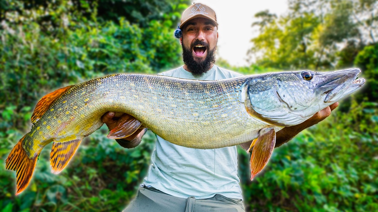 Štika co PŘEKONALA všechna očekávání! Potřetí pokořený osobák! VELKÁ NÁSTRAHA = KUᴙVA VELKÁ ŠTIKA!