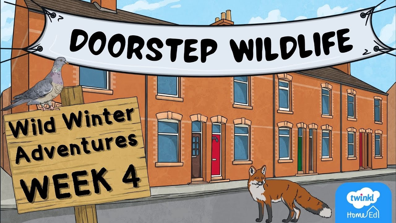 Pathfinders: Doorstep Wildlife