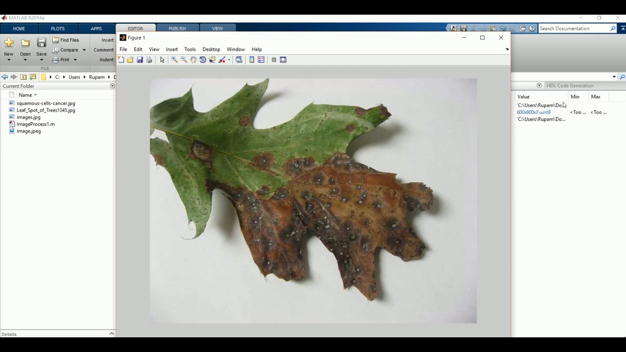 Image Segmentation And Preprocessing With Matlab