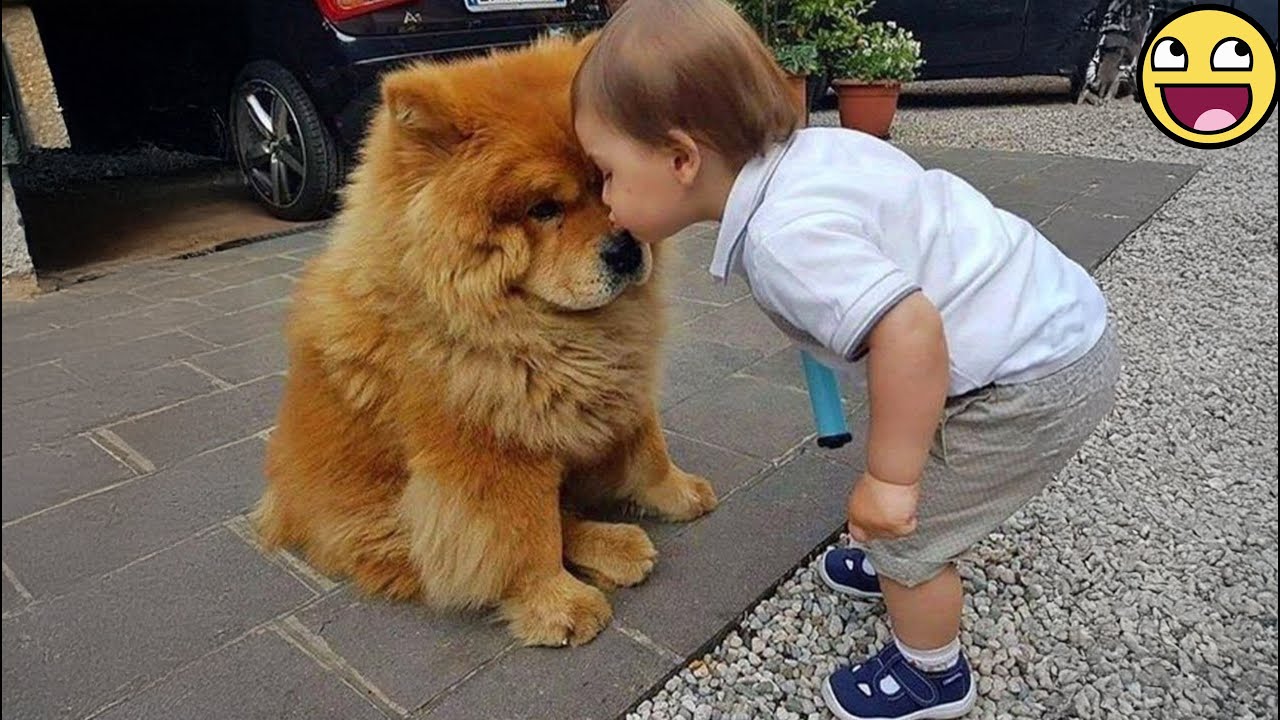 🐶 Babies and Pets Being Hilariously Cute Together! ❤️