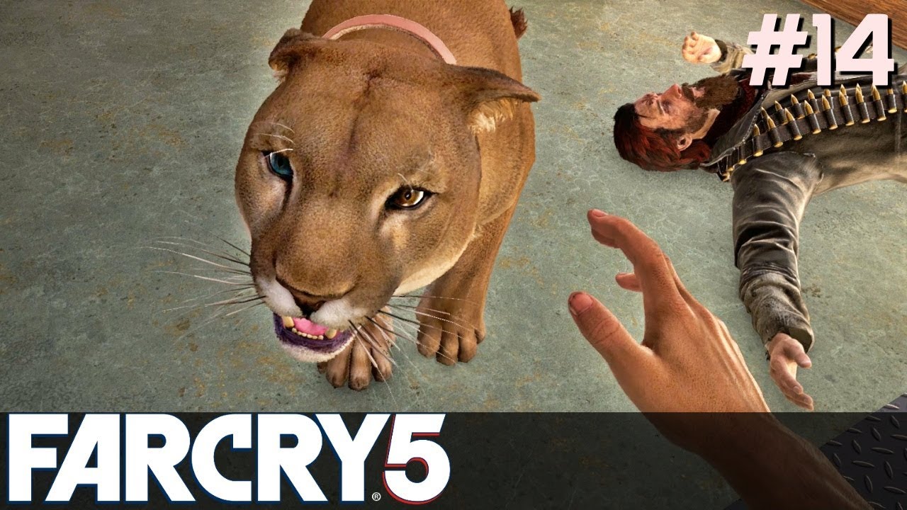 FAR CRY 5 Gameplay PL [#14] KICI KICI /z Skie