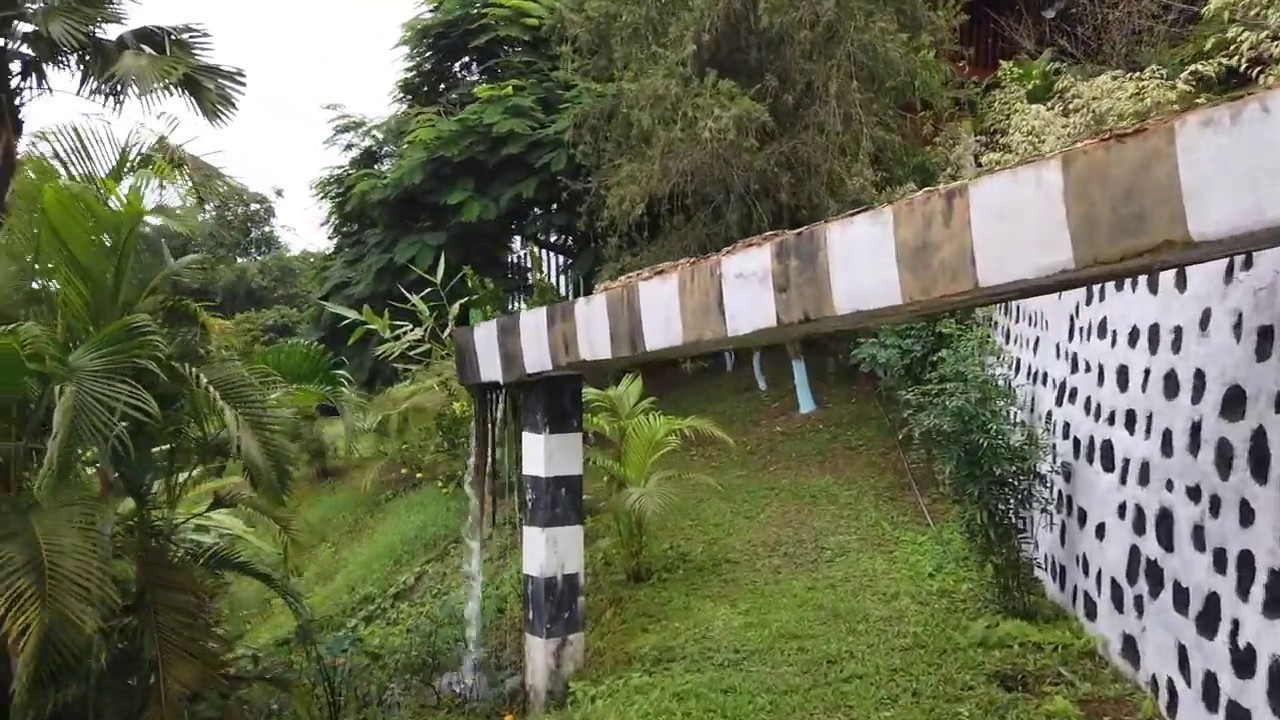 Reyi Homestay, Aalo, Arunachal Pradesh