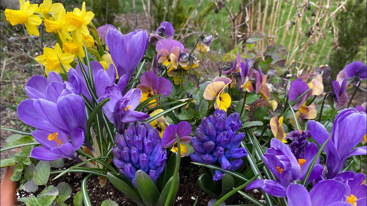 Spring Transformations