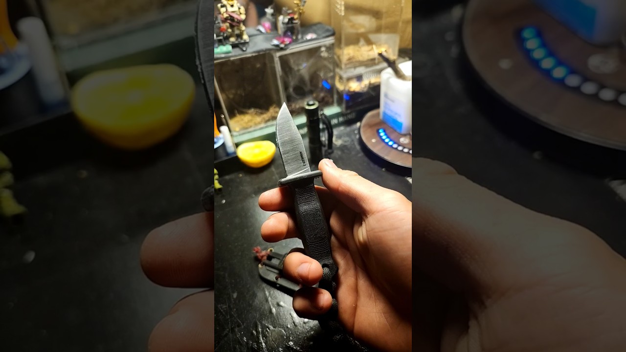 Demko knives Armiger 2 #edc #fixedblades #knifestuffwedo