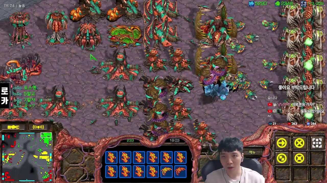 26.3.10(화) [로카] 스타 빨무 스타크래프트 빠른무한 Starcraft