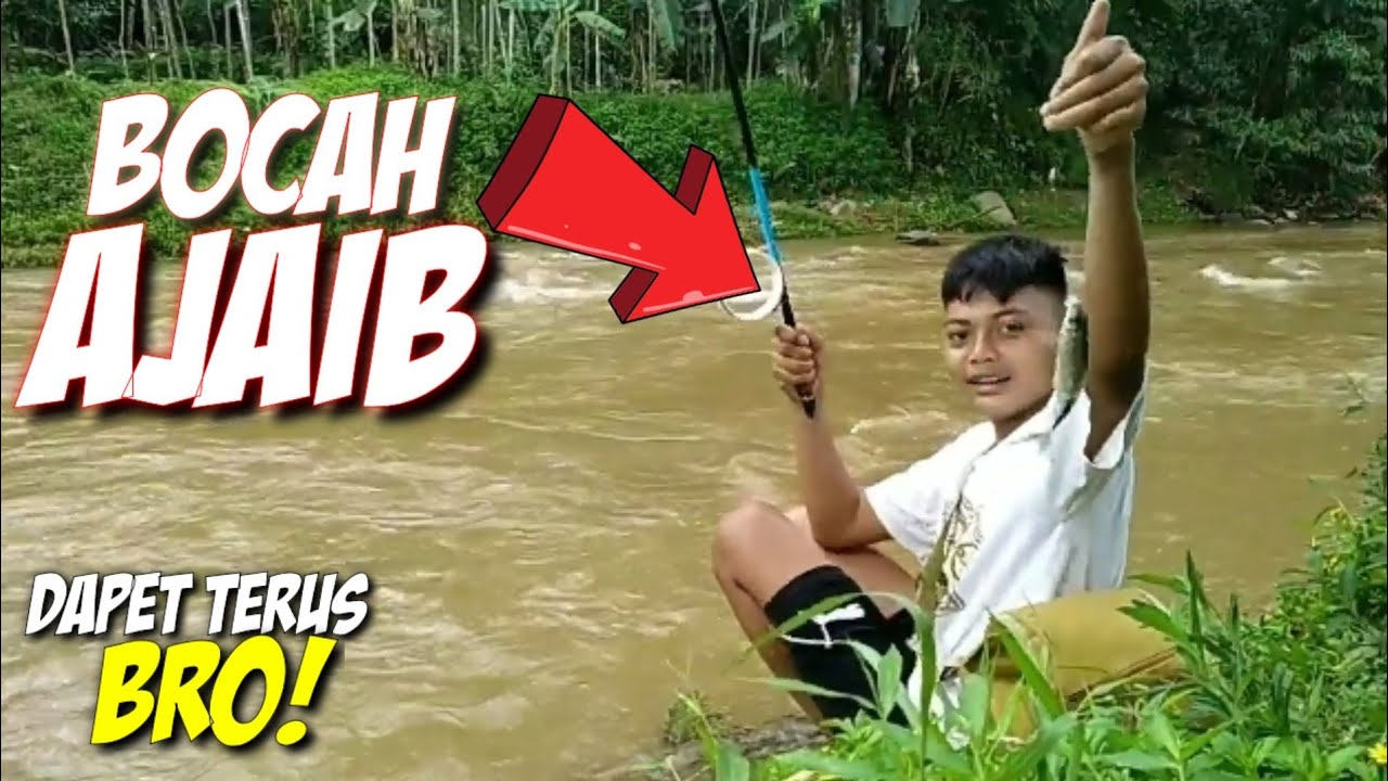 BEGINI CARA MANCING IKAN DI SUNGAI ARUS DERAS BANTARAN BIAR DAPAT BANYAK