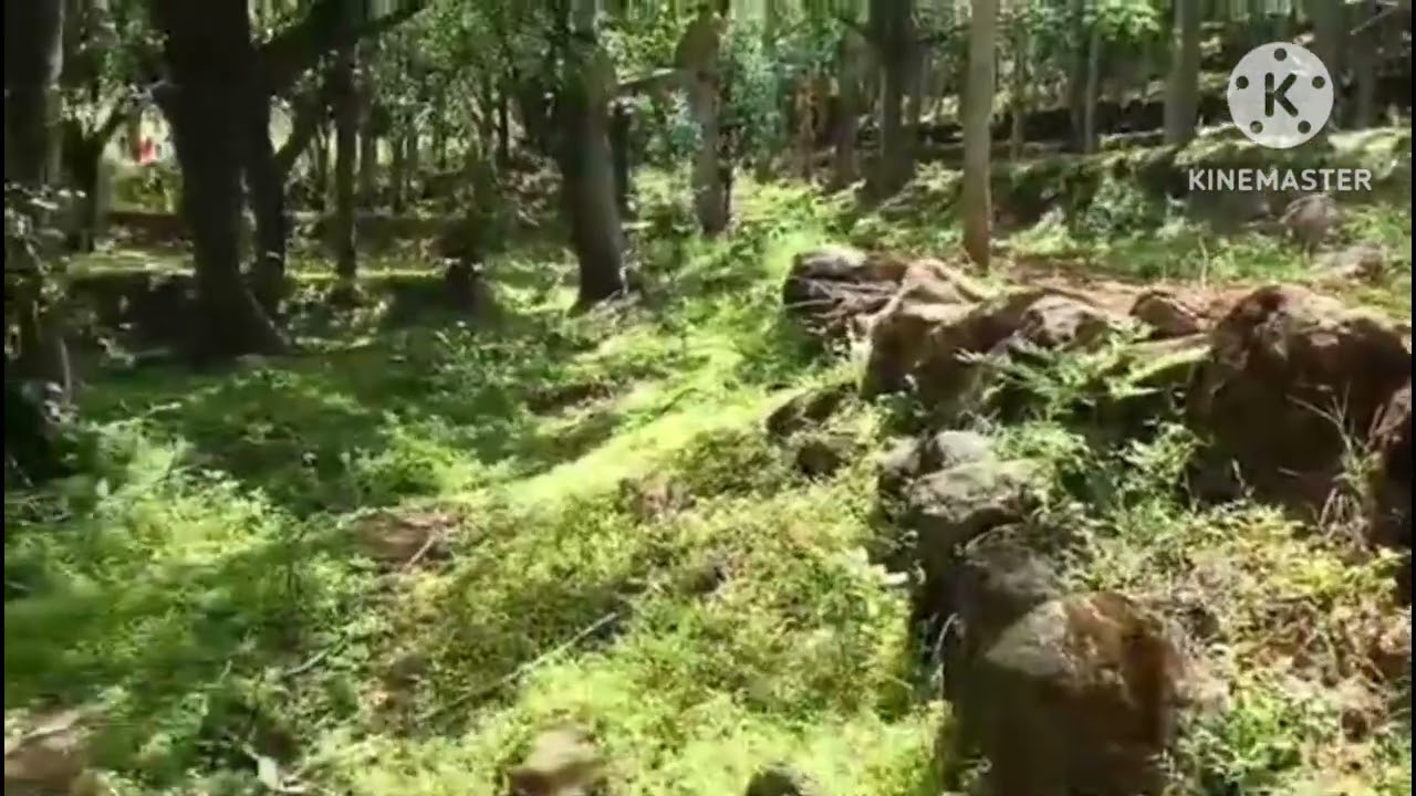 தேனி மாவட்டம் கடமலைக்காரன். 10 லட்சம் விலையில் 2 ஏக்கர் தரிசு நிலம் விற்பனைக்கு.  8144201894.