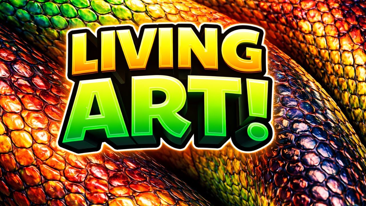 Living art! Morphs and localities!(Episode 10)