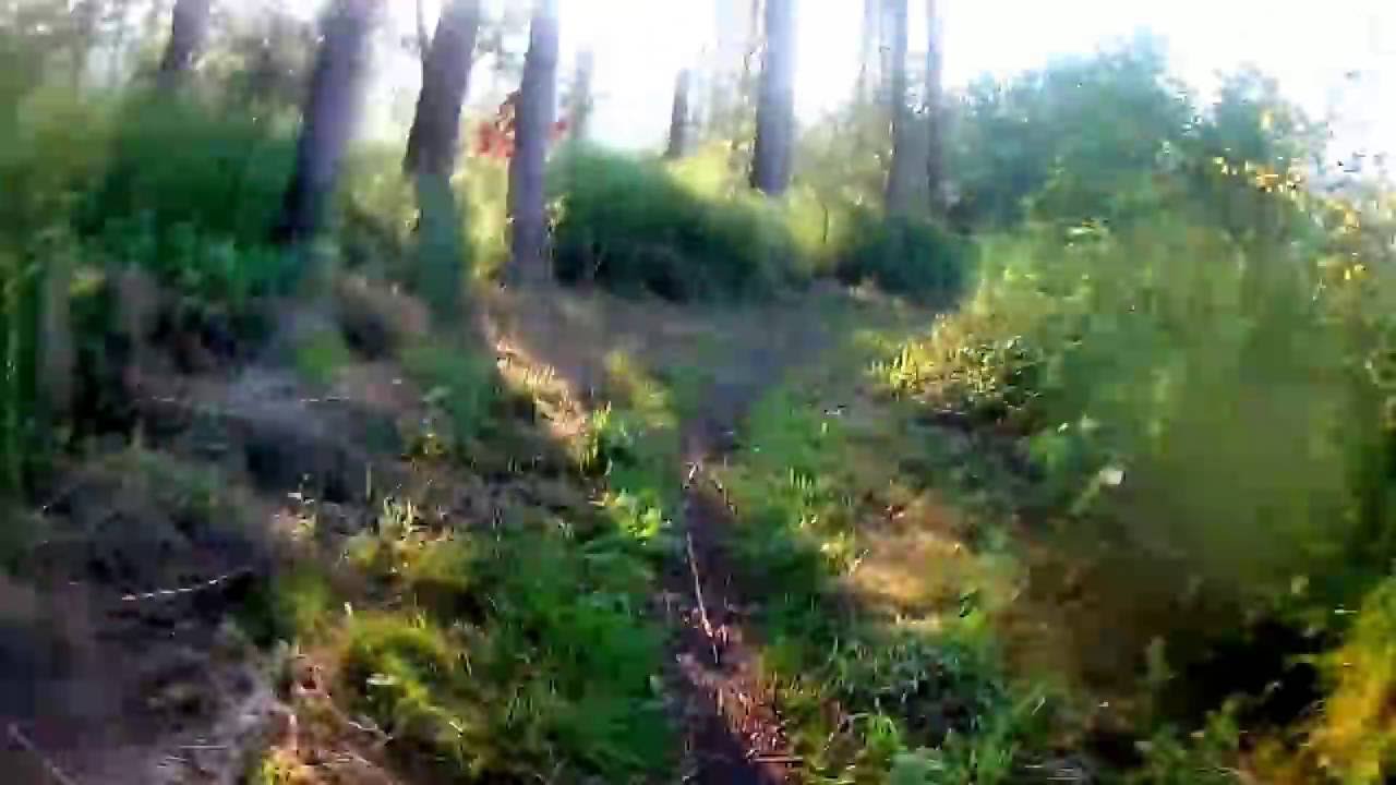 MTB Dronten Part 1