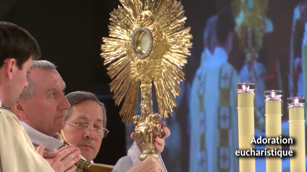 Reportage / Le cardinal Pietro Parolin à Lourdes au nom du Pape François (part 2)