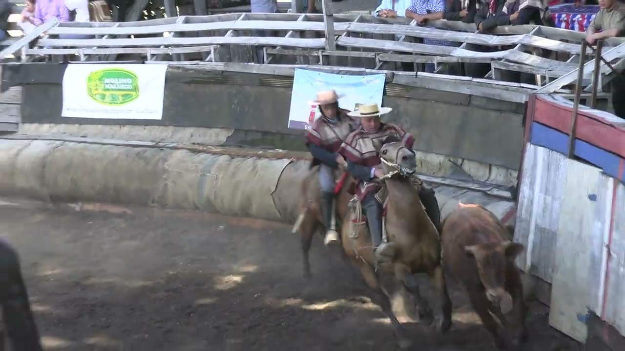 T. 25/26 | Rodeo Lonquimay | Segunda Serie Libre | 06 y 07 de diciembre