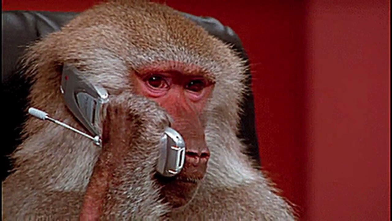 Soulgood -  Baboon love Prod.SHYY