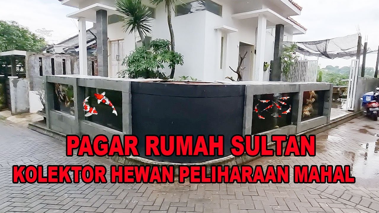 PAGAR RUMAH SULTAN PENGGEMAR HEWAN MAHAL