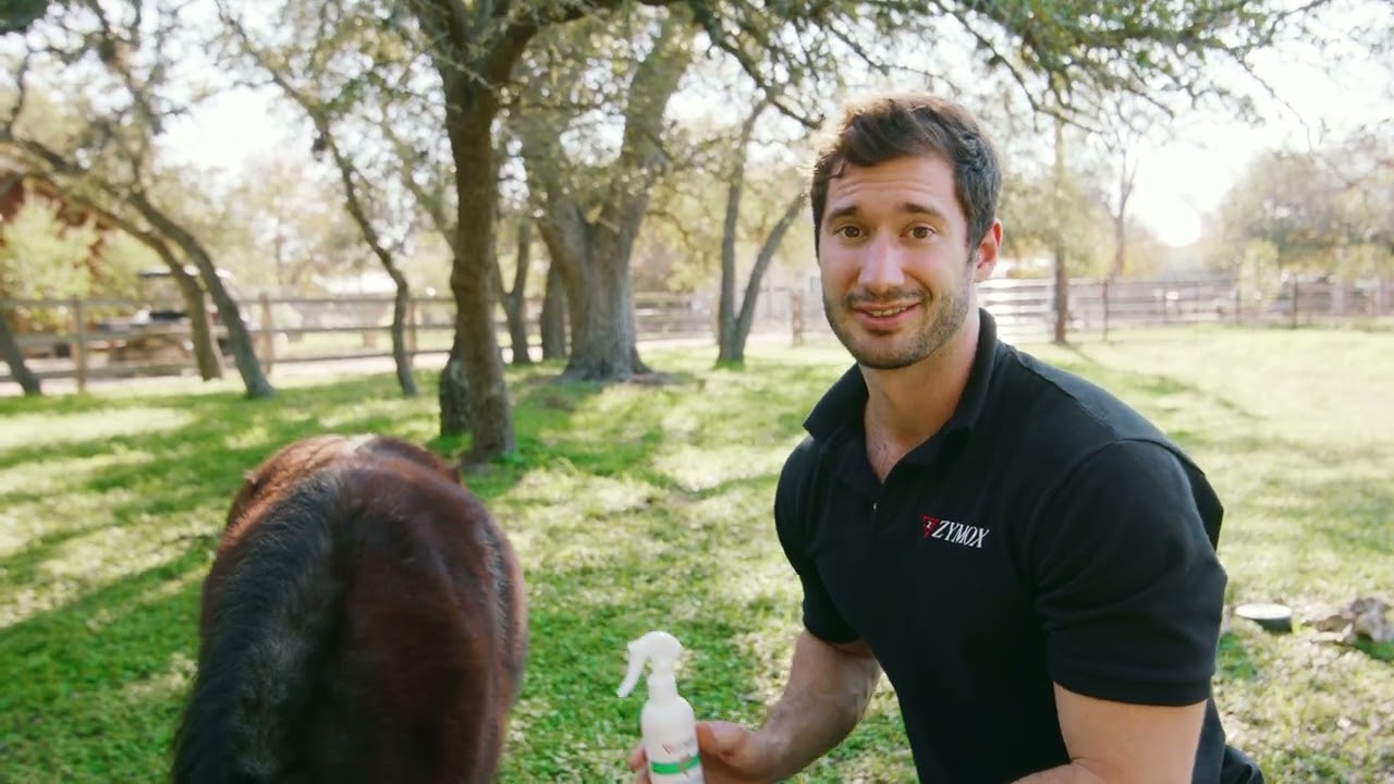ZYMOX Equine Defense Topical Cream and Topical Spray for Horses and Livestock