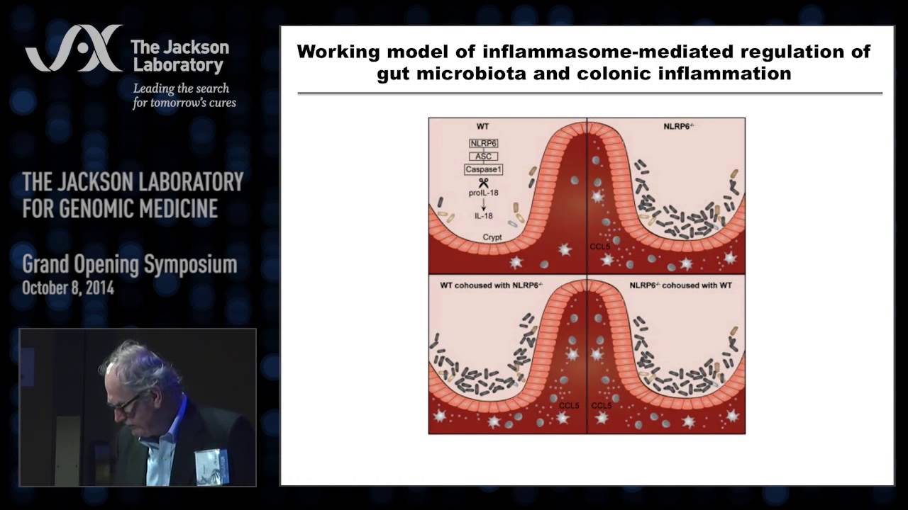 Richard Flavell &ndash; Humanized Mice and Human Disease