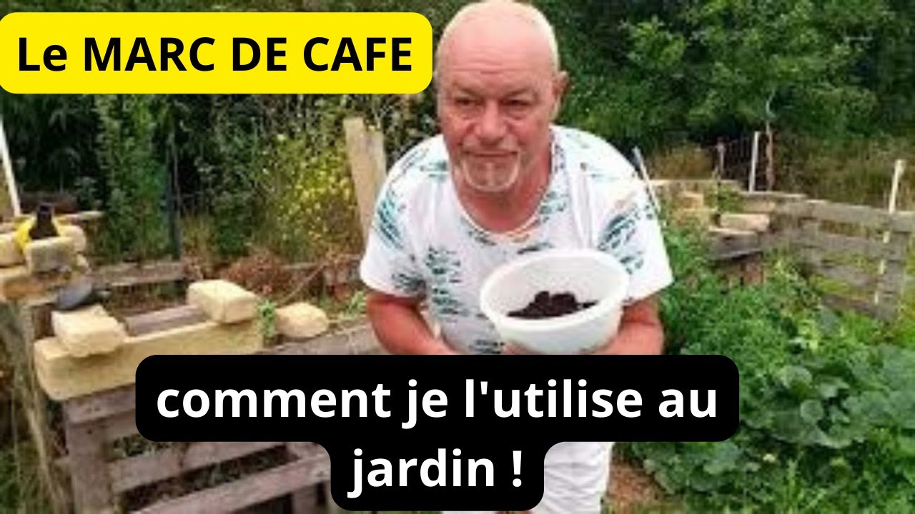 LE  MARC  DE CAFE  ?     COMMENT   L ' UTILISER   AU   JARDIN ?