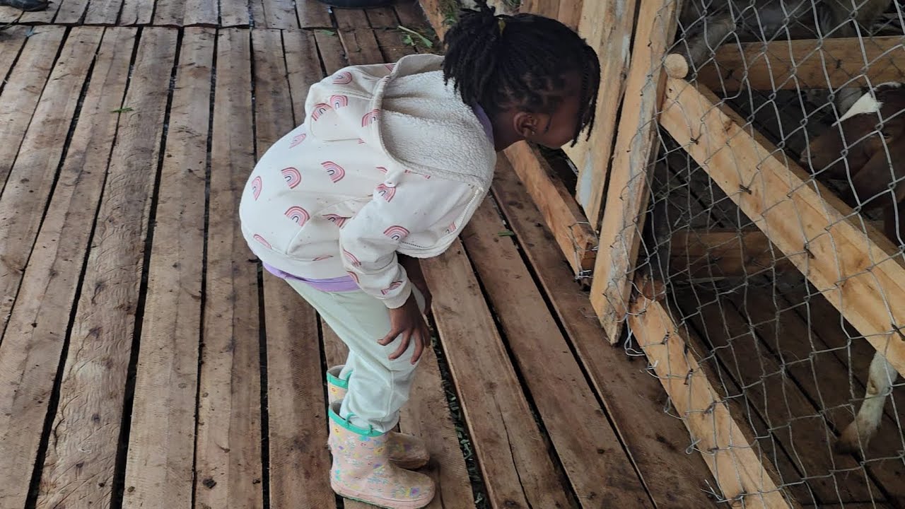 Uk Family Visit to Timo Farms Uganda 