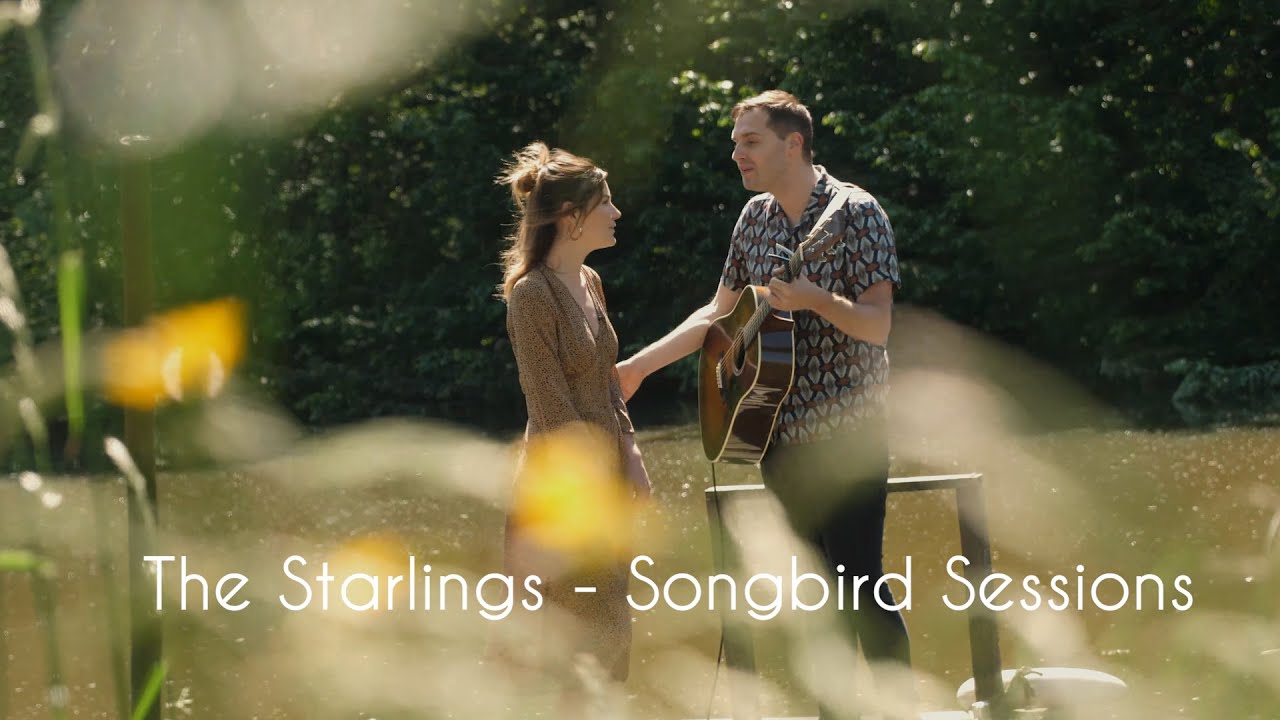 The Starlings - Songbird Session ll