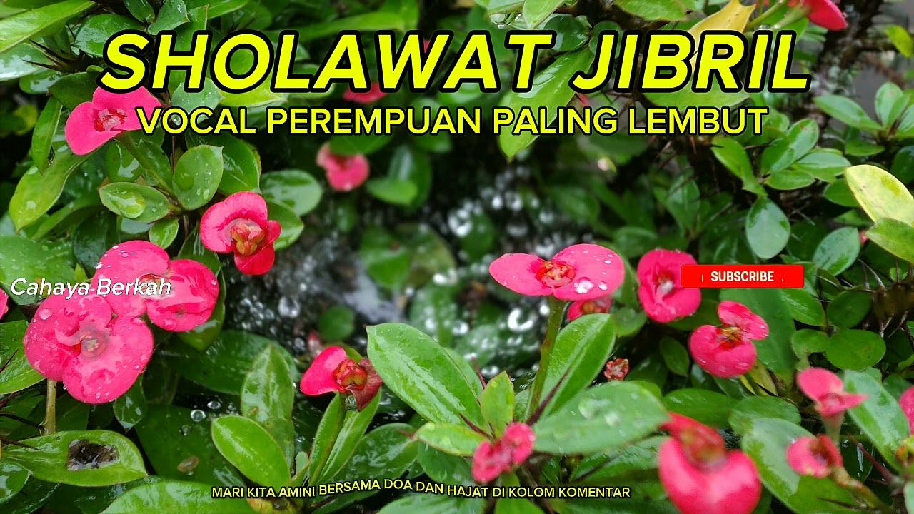 Sholawat paling menenangkan hati gelisah hilang seketika