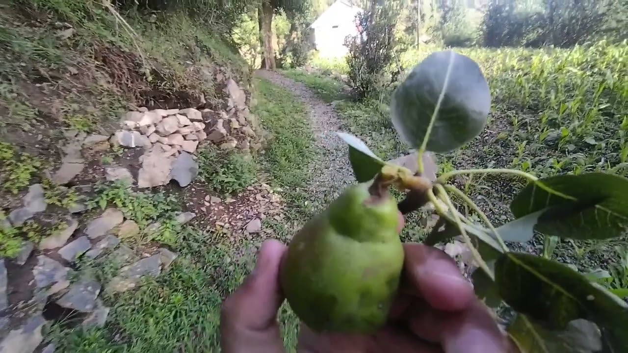 Apna bathoie village town beautiful place