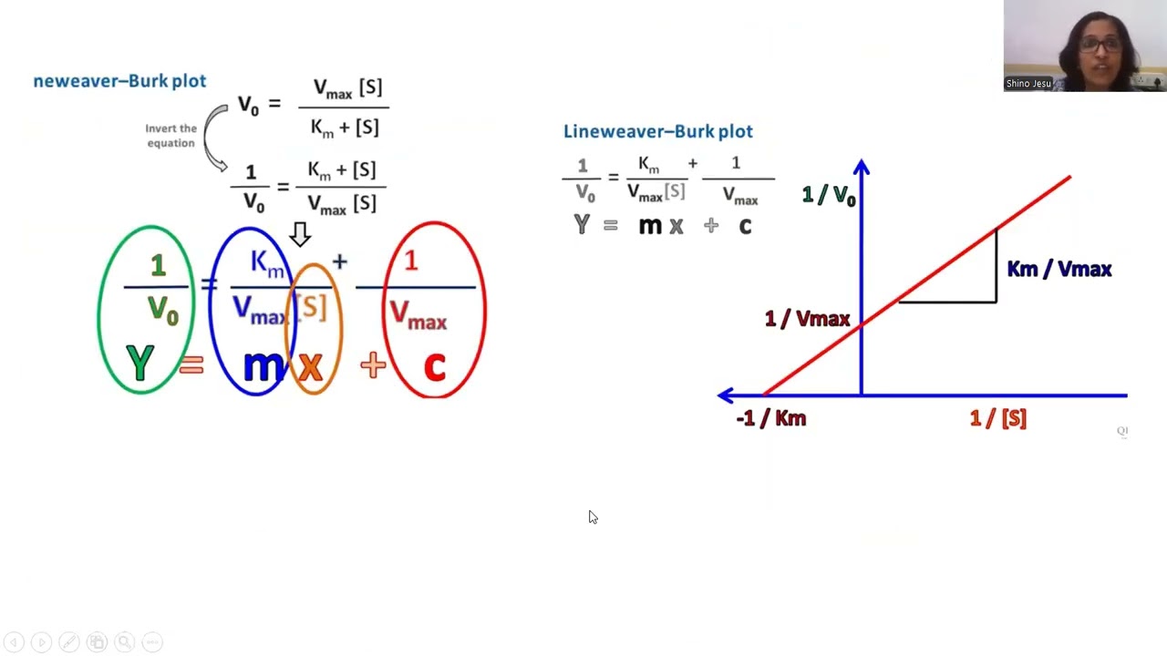 LB,plot