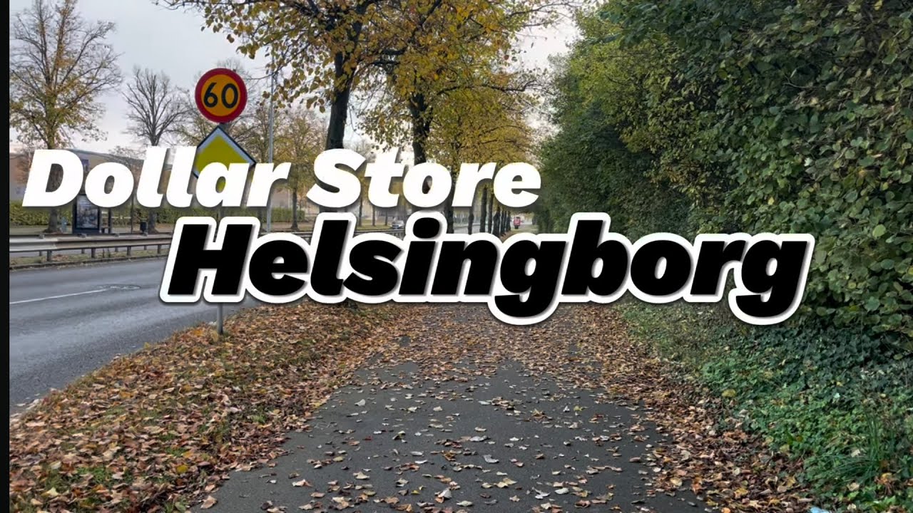 DOLLAR STORE  - Helsingborg, Sweden - Nov 2024