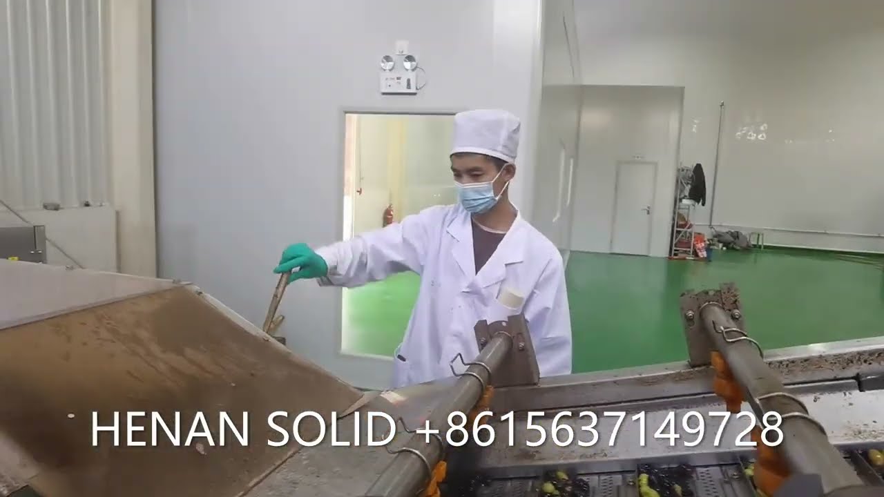 Extra Virgin Olive Oil Extraction Line/Olive Oil Mill-HENAN SOLID