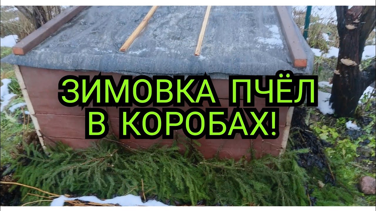 Зимовка пчёл на улице в коробах. 