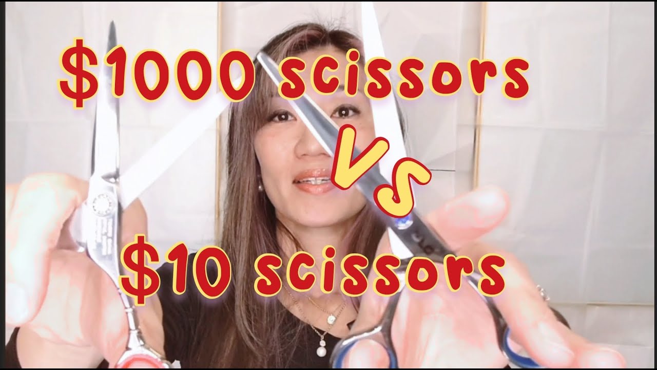 $1000 hair cutting scissors vs $10 hair cutting scissors. What's the difference !?